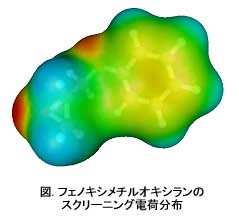 分子の表面電荷