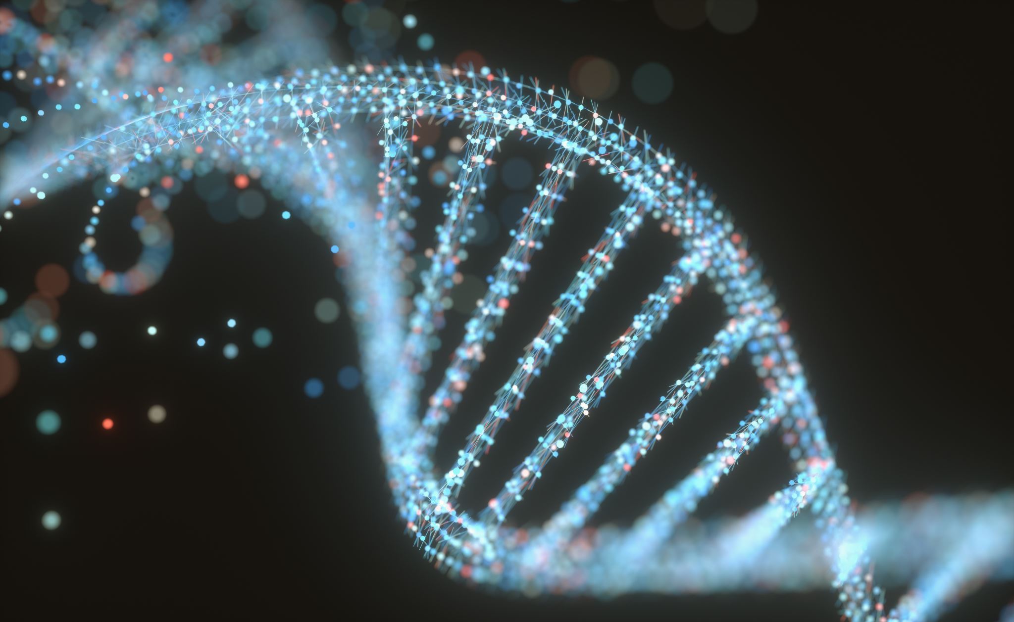 DNA-のイラスト