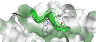 Protein-Peptide_Docking