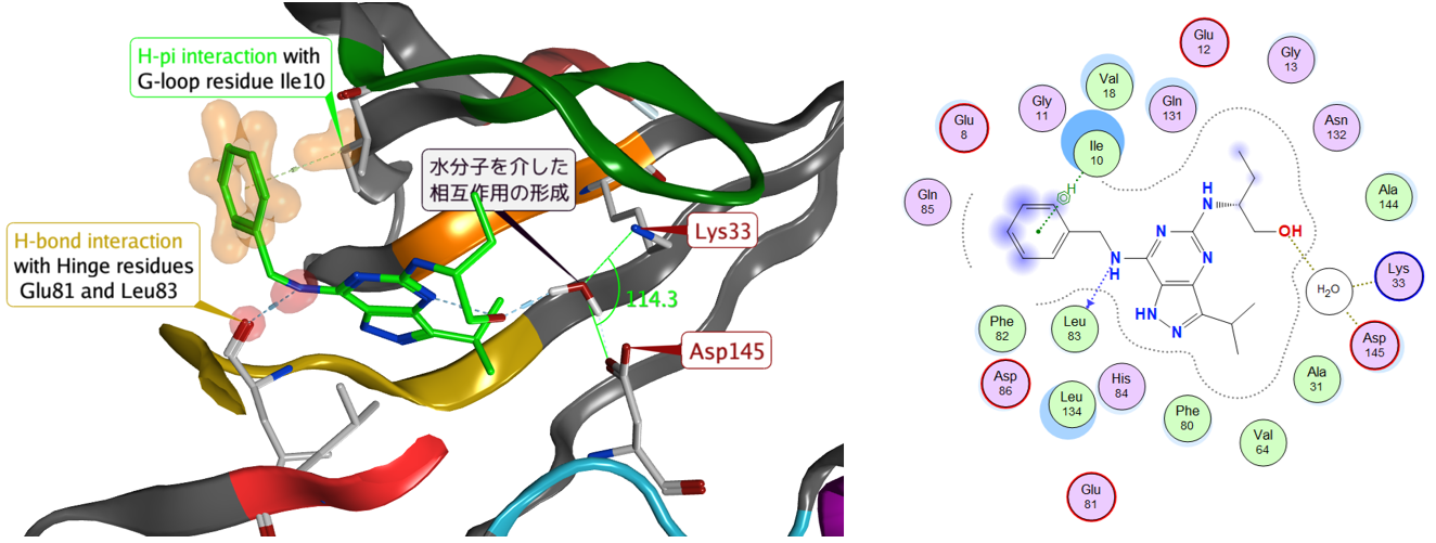 interaction_model