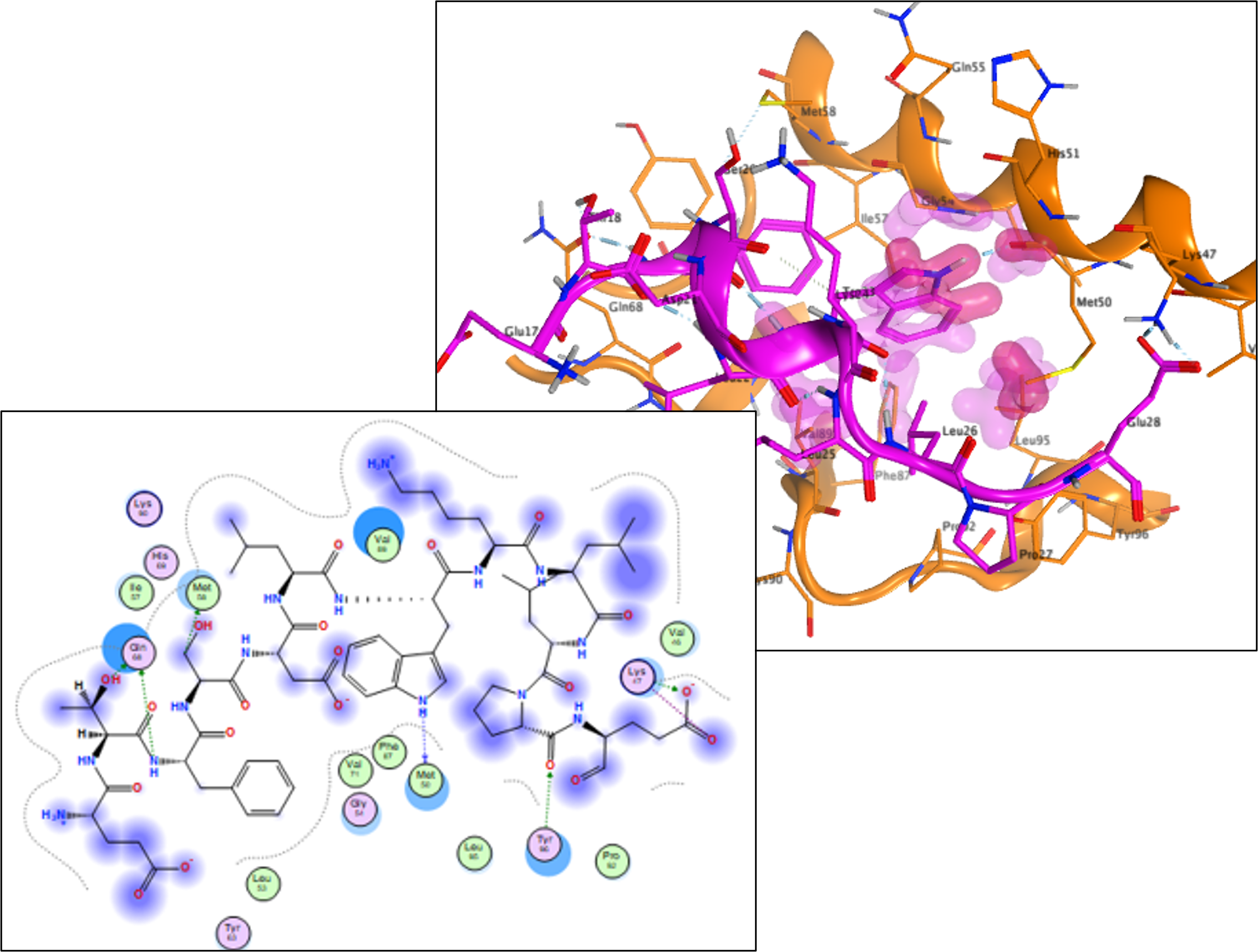 ligand_Int_Protein_Cont