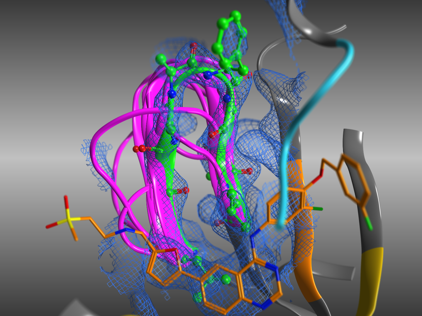 loopmodeling_ed