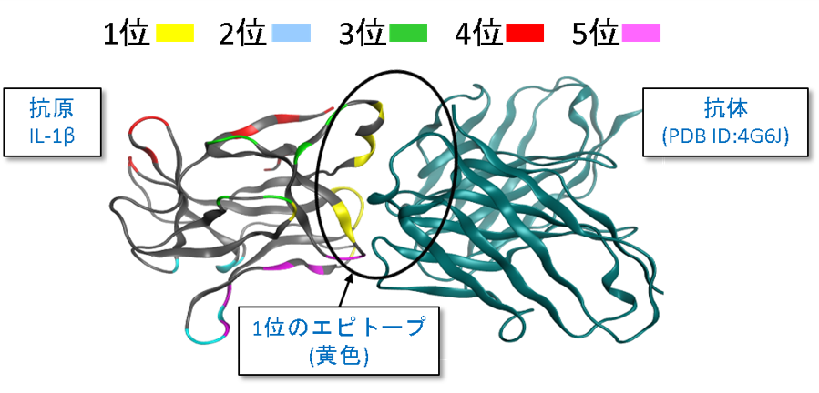 epitope1