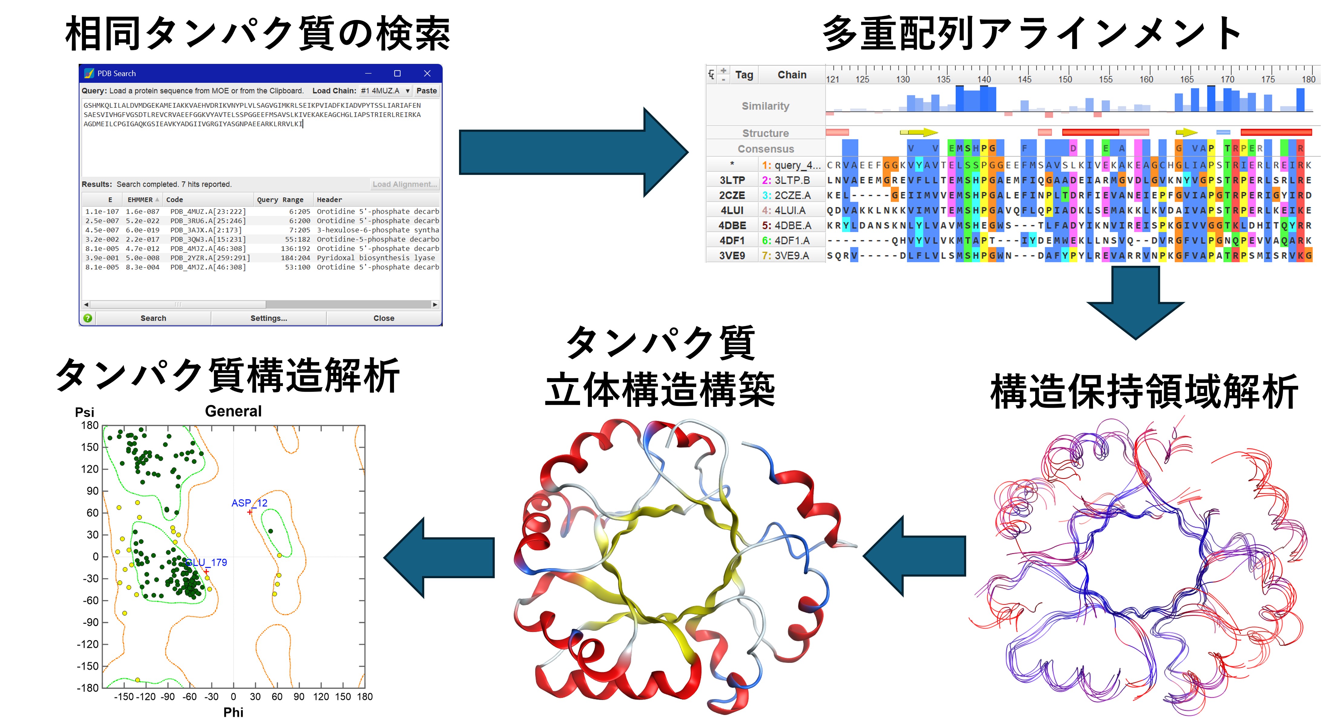 moe_protein_homology_1