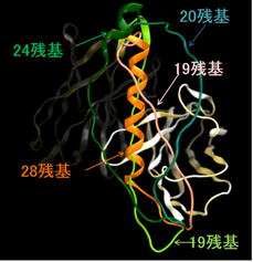 moe_protein_linker