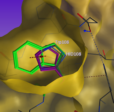 moe_protein_mutation