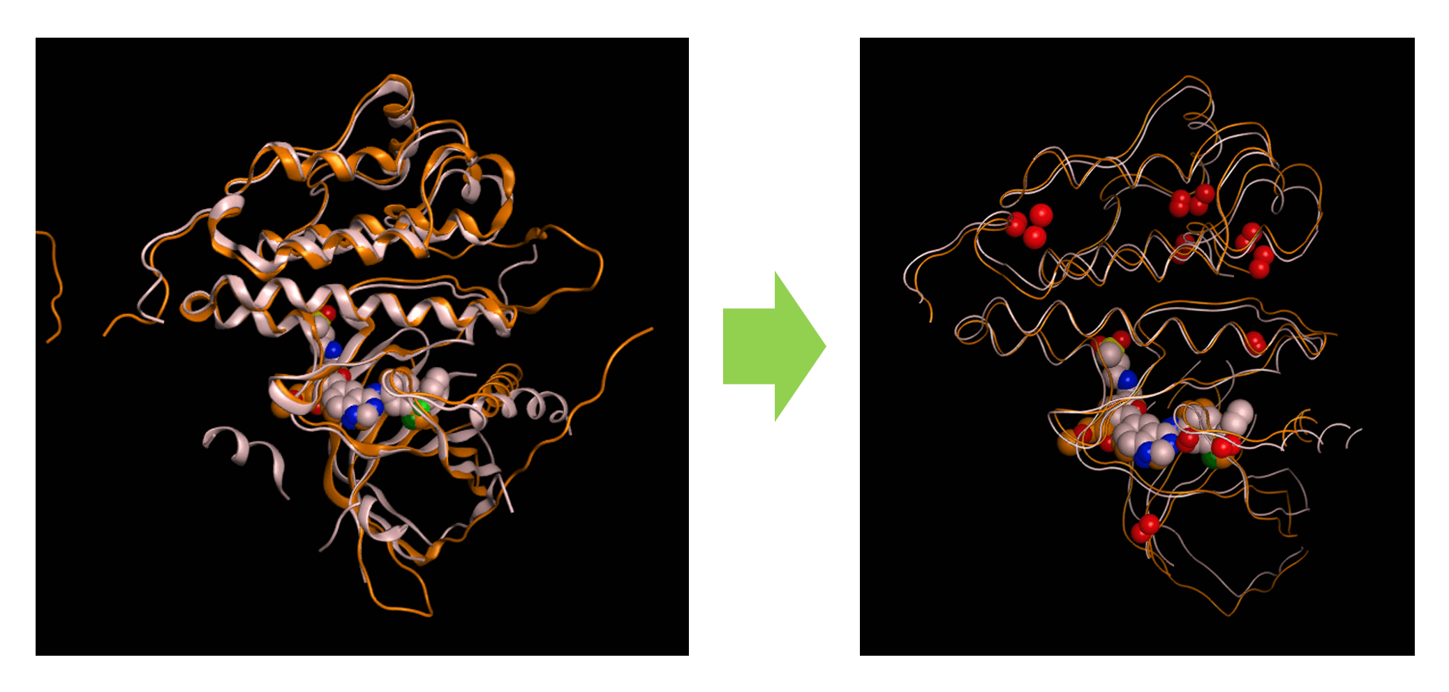 protein_consensus4