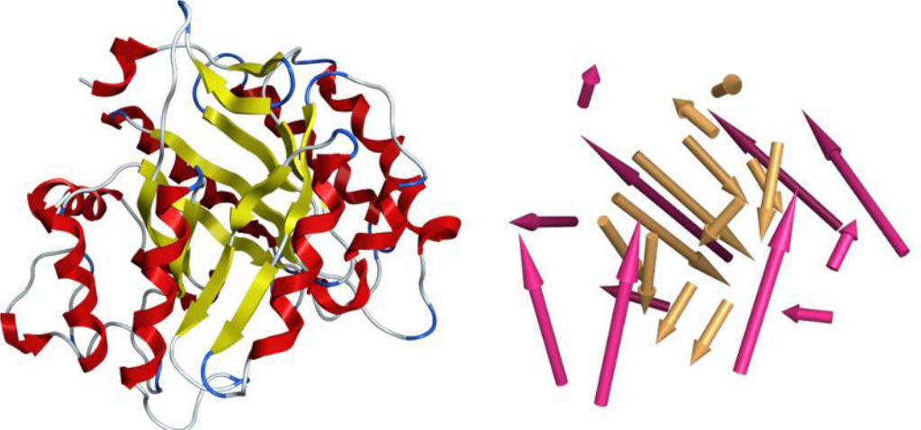 proteindomain3