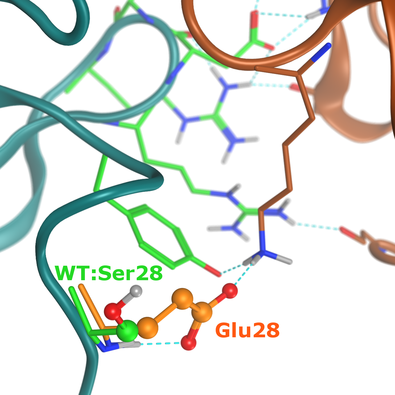 proteindesign