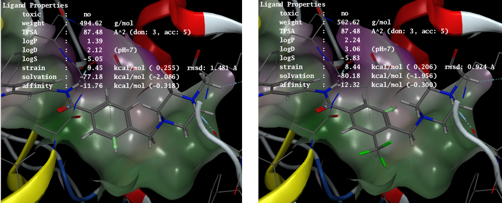 poket_ligand