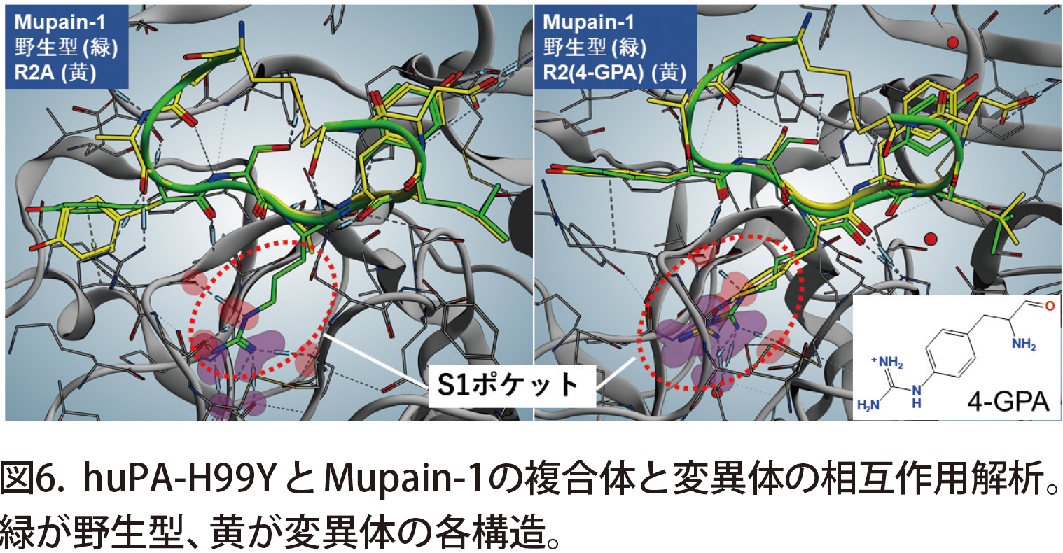 nl_molsis10_moe_fig6