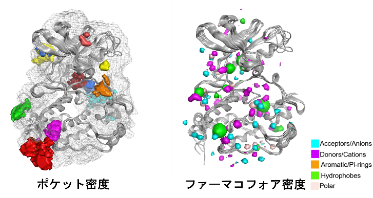 nl_molsis26_moe_fig1