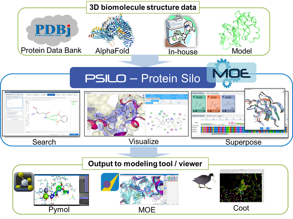 01_psilo_summary_3