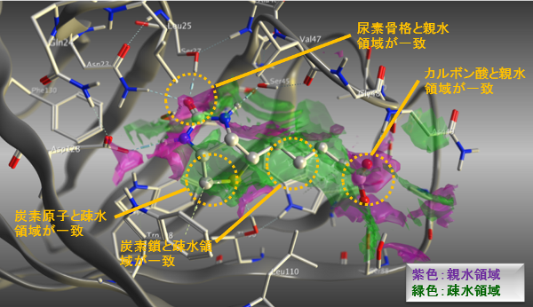 surfacemap