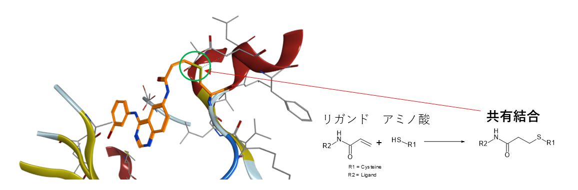 Covalent Docking