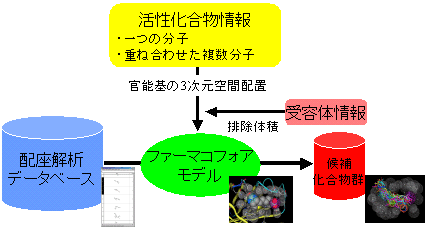 ファーマコフォアモデルの構築と検索