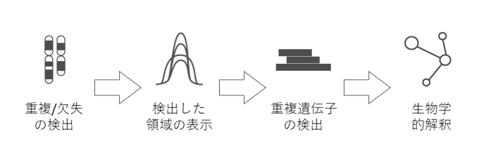 訳あり超特価の通販 Partek Inc. MOLSIS | コピー数解析 > アプリケーション > 人文+社会