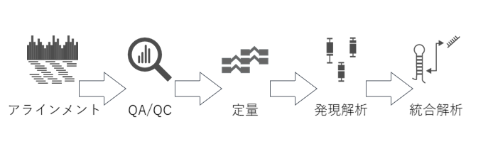 公募研究10】ミジンコの性決定を制御する長鎖ノンコーディングRNAの機能解析 - ノンコーディングRNAネオタクソノミ