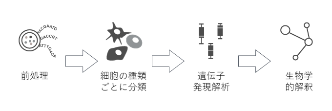 Partek > アプリケーション > Single Cell 遺伝子発現 | MOLSIS Inc.