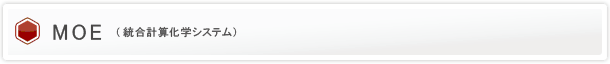 MOE > 機能詳細 > 開発環境・インターフェース